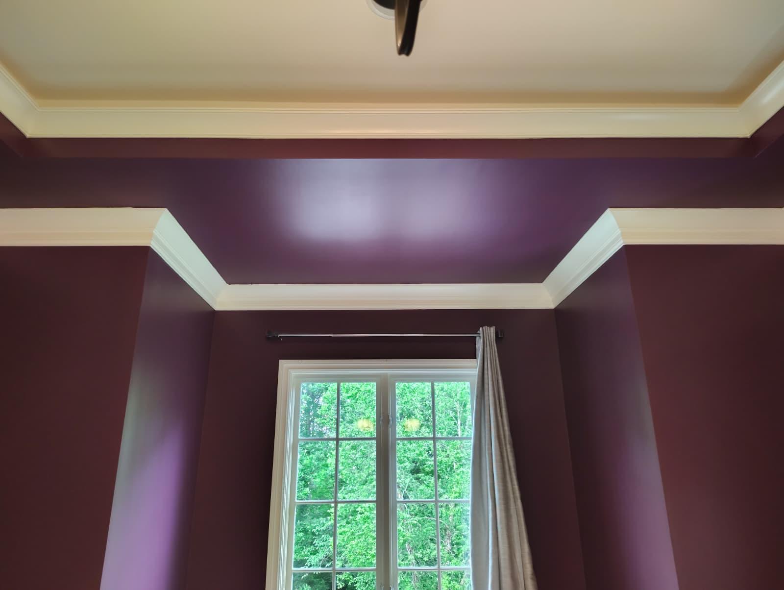 Tray ceiling painted in two tones with white crown molding