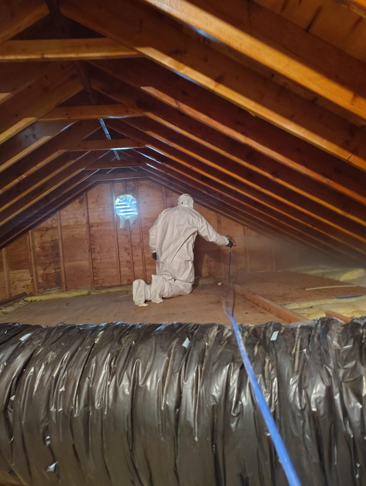 Antimicrobial treatment being sprayed on attic roof decking and framing