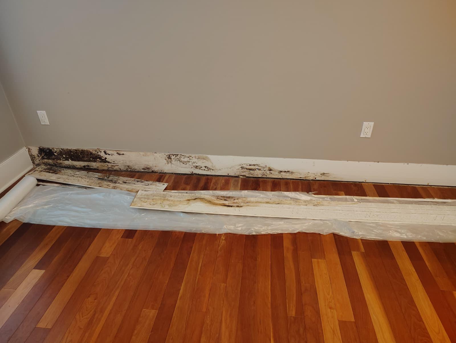 Mold-damaged baseboard removed from the wall, hardwood floor protected with plastic sheeting