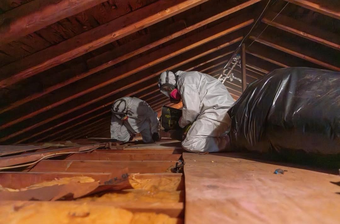 Contaminated attic debris bagged for disposal during remediation